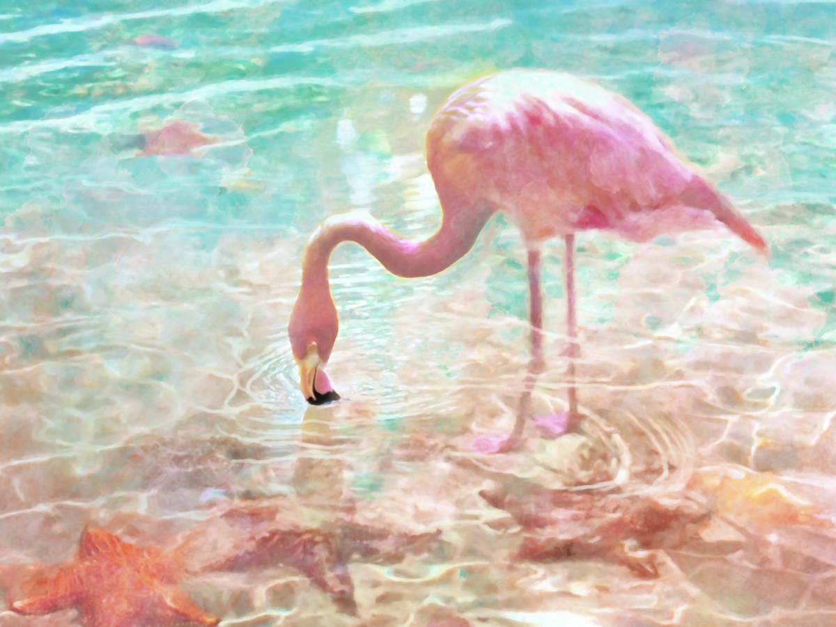 169-M-FlamingoEstrellas-150x110cm